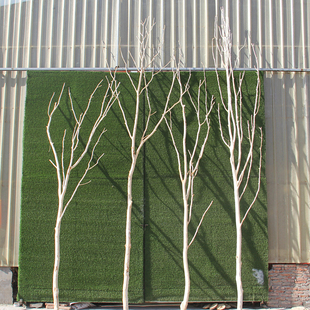树枝装饰树杈干枝屏风枯树枝干造型去皮原木diy手工造景幼儿园树