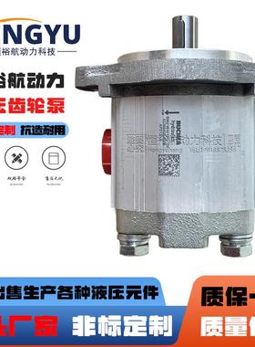 布赫高压油泵BUCHER齿轮泵AP100/1.2AP212/4.5DAP300/27D液压泵