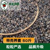 枭龙鸽粮荞麦50斤赛鸽信鸽营养原料浙江沪皖 包邮