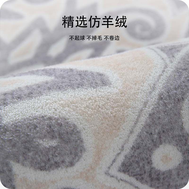 2023新款地毯客厅轻奢高级感卧室地垫秋冬法风天津崔黄口工厂直销