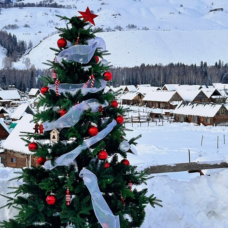 圣诞节圣诞树新款diy场景布置网红摆件高级感创意装饰仿真室外