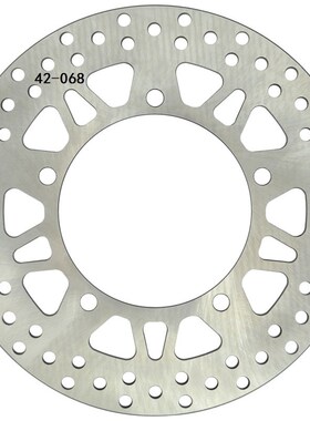 摩托车刹车盘 天浪AN250 AN400 AN650前刹车盘 制动盘 碟刹盘