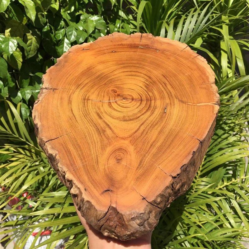 实木质餐垫隔热垫餐桌垫盘子垫子家用防烫垫锅垫子砂锅垫碗垫杯垫