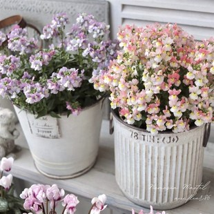 日系铁艺花盆花园杂货装饰草花套盆郁金香球根种植铁盆朱顶红