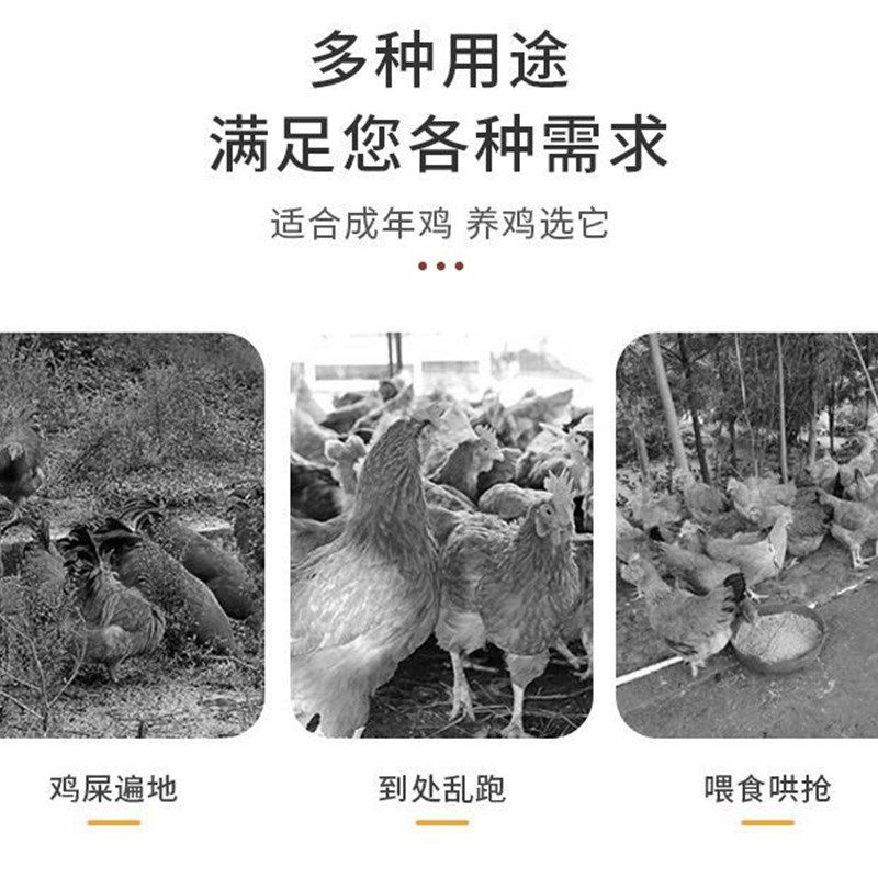 家养鸡笼子家用室内室外大号特大号下蛋养鸡窝鸡舍鸭笼折叠养殖笼