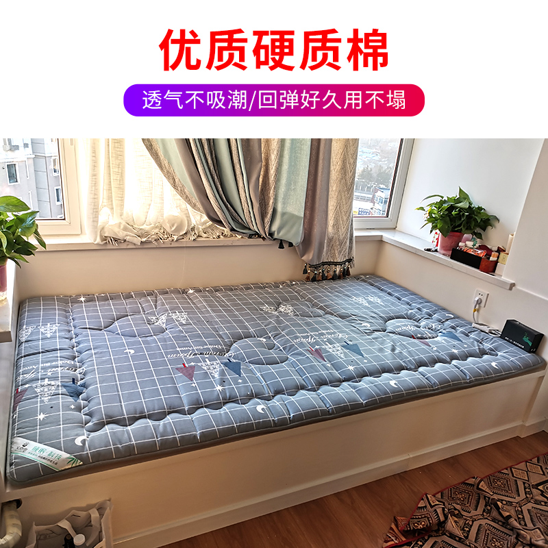 冬季床垫软垫家h用透气榻榻米床垫定制任意尺寸可折叠褥垫子海绵