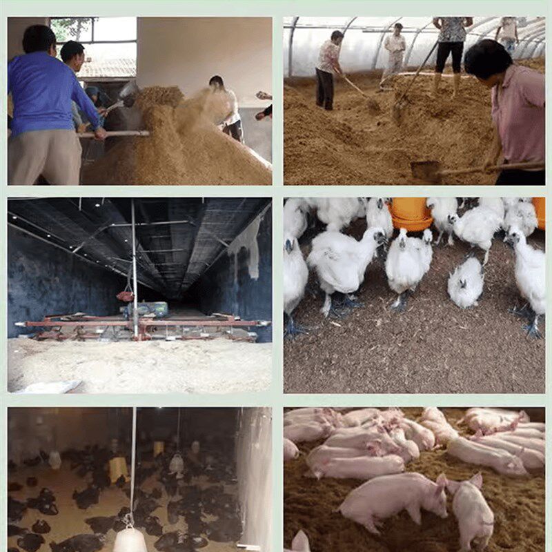 养殖场发酵床专用菌种阳台养鸡芦丁鸡猪牛养蛇粪便除臭菌粉干撒式,农用物资,微生物除臭剂,淘宝优惠券,粉丝福利购,淘宝优惠卷