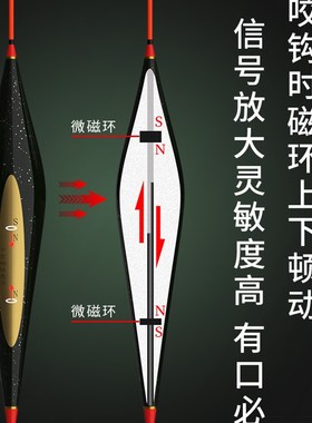 家人醒目加粗尾浮漂高灵敏磁悬浮鲫鱼漂冬季轻口野钓青鱼大物鱼漂