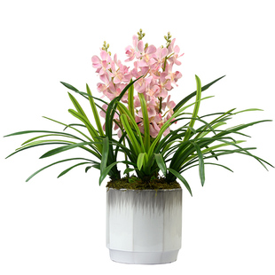 兰花仿真花蕙兰万代兰紫砂兰A花盆栽中式 饰花艺摆件 客厅餐桌装