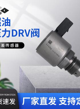 2136382PEDRV适用DELPHI德尔福BEBR3B01000油轨