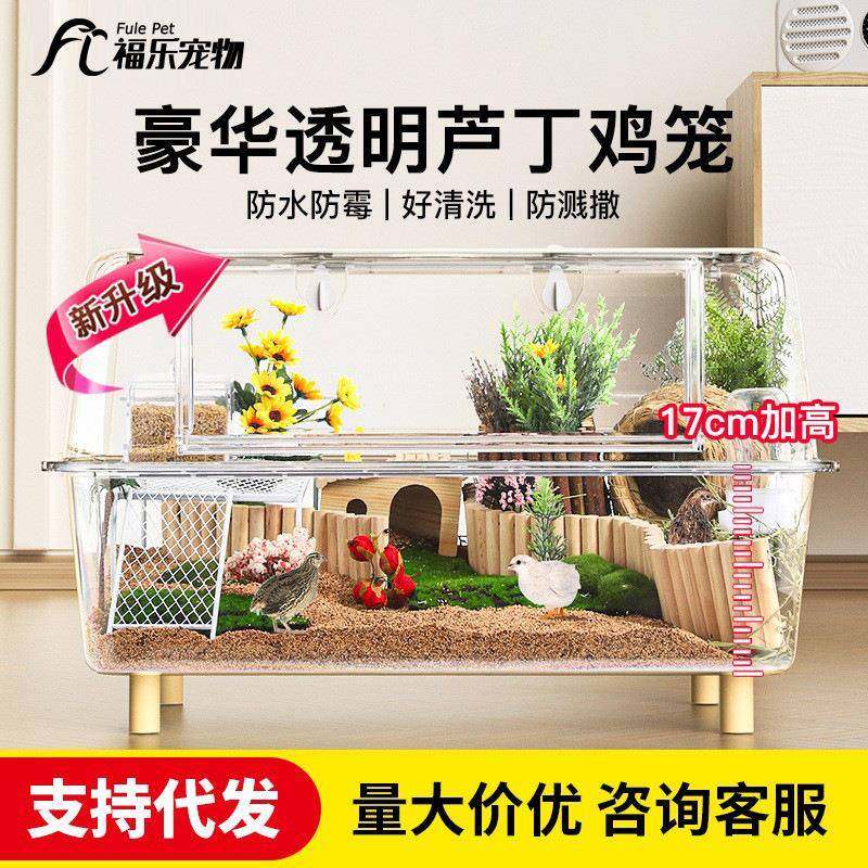 芦丁鸡饲养箱笼子大号亚克力透明观赏卢丁室内保温全套造景专用品,自行车/骑行装备/零配件,更多零件/配件,淘宝优惠券,粉丝福利购,淘宝优惠卷
