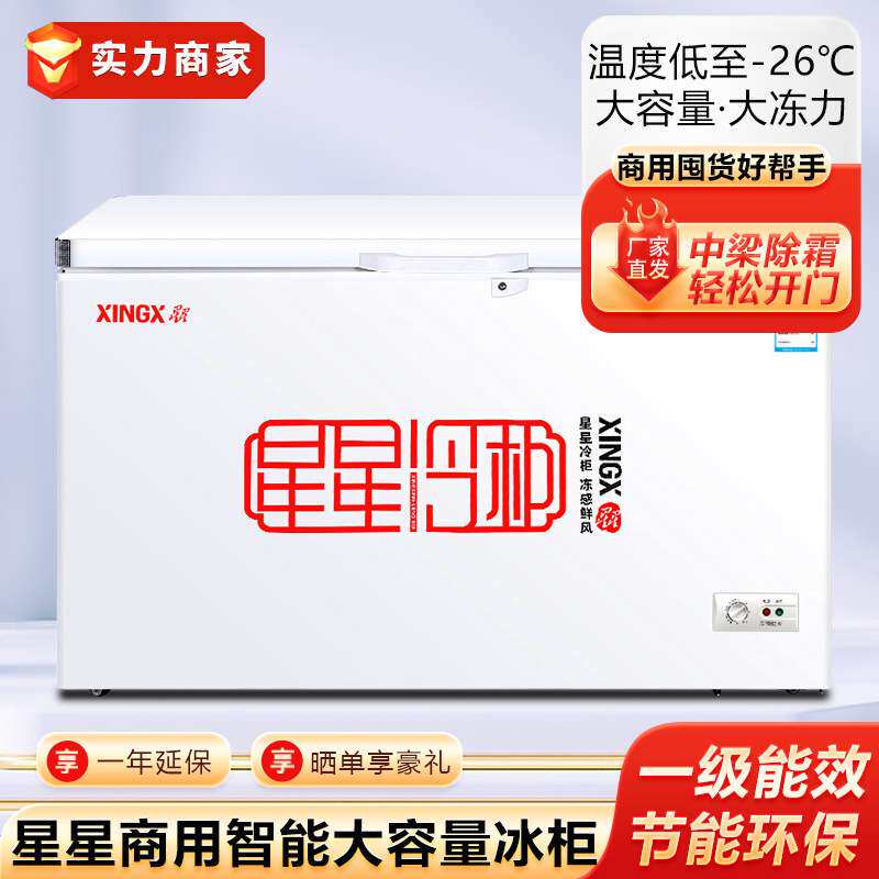 星星冰柜冷藏保鲜冷冻冰箱速冻雪糕冷饮海鲜柜卧式冷柜商用冰柜