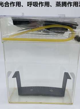 J27008植物光合作用、呼吸作用、蒸腾作用演示器 生物实验器材