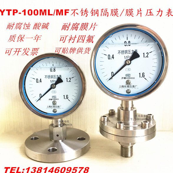 YTP100ML MF 不锈钢隔膜压力表 法兰压力表 膜片DN25 DN50 四氟