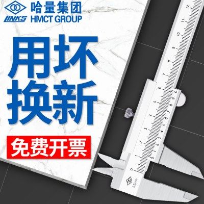 哈量高精度工业级游标卡尺0-150-200-300-500-600mm油标不锈钢1米