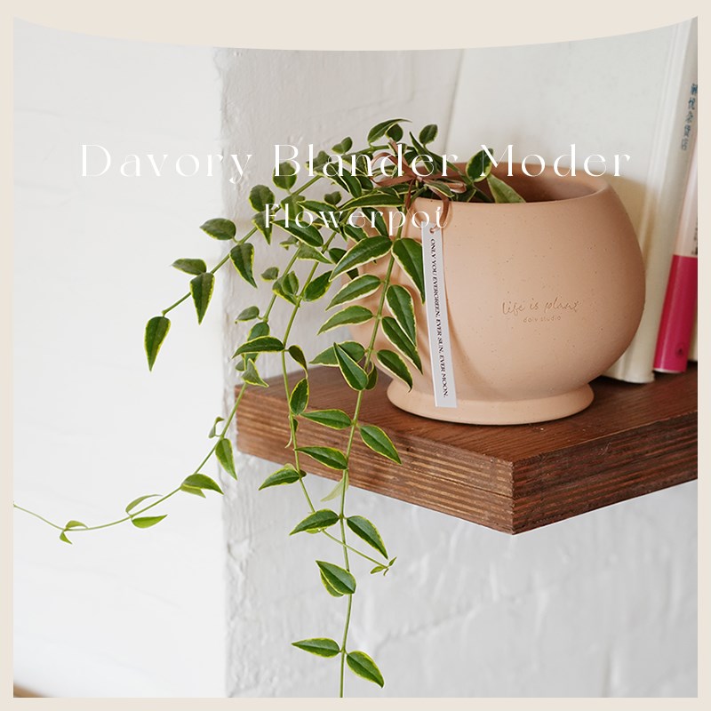DOLV 豆绿 莫德尔经典花盆 北欧风巴黎画派家居园艺陶土花盆花器