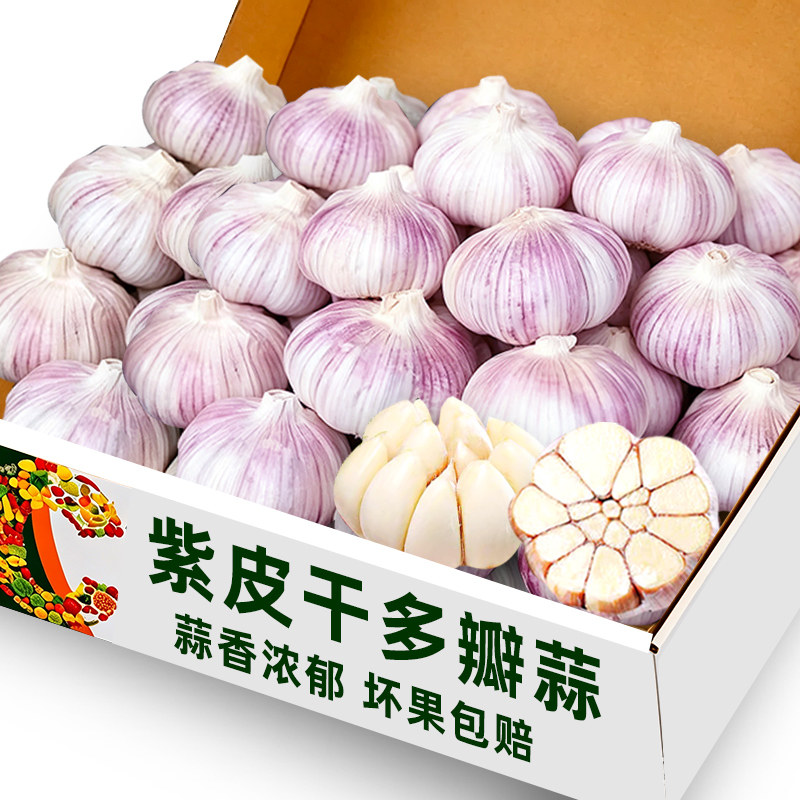紫皮干多瓣蒜25个4cm左右大小