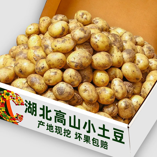 湖北现挖高山小土豆⭐限一单特价