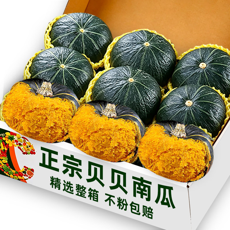 贝贝南瓜3斤(5-9个)不粉包赔!