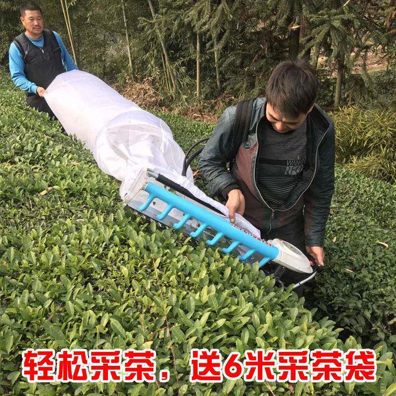 蒙驰双人采茶机汽油便携往复式吹风绿篱机采茶神器修剪茶叶绿篱