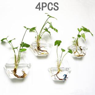 创意六角壁挂玻璃花瓶 六角形花瓶4个装水培植物花瓶家居墙壁花瓶