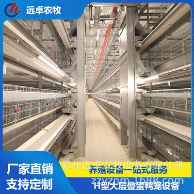 立体蛋鸭笼养鸭河南信阳五层H型框架自动化蛋鸭笼养自动捡蛋机