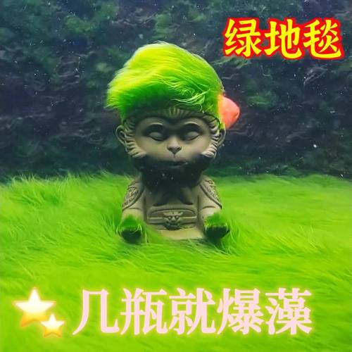 兰寿鱼缸短绒藻绿藻长绒藻种爆藻绿苔绿地毯小球藻绿苔造景水草