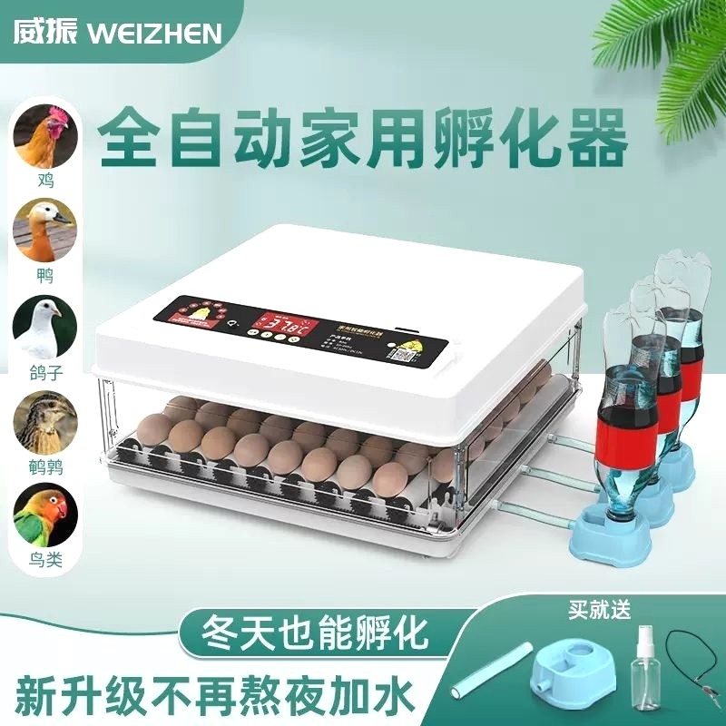 全自动孵化器智能小型家用孵化机芦丁鸡孵化鹦鹉蛋鸡鸭鹌鹑孵蛋器