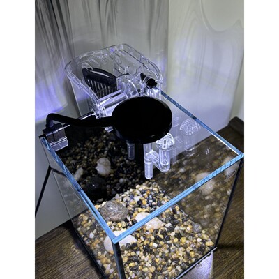 202020/5毫米加厚超白玻璃鱼缸/全套发货！