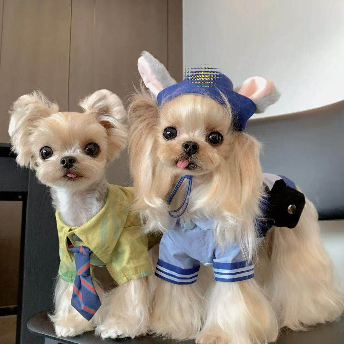 尼克狐狗狗衣服疯狂动物城兔子警官cos卡通长耳朵兔子帽子尼克朱