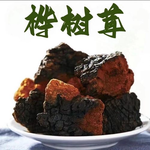 中俄边境桦树茸包邮白桦树茸煮水特别好营养浓郁