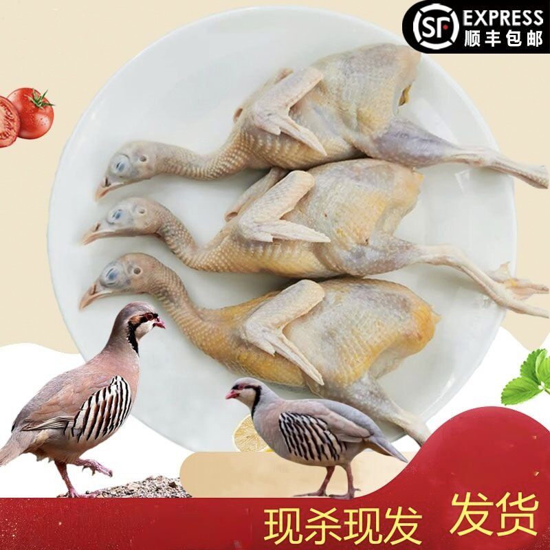 粉丝福利现宰现杀呱呱鸡咕咕鸡顺丰冷链包邮