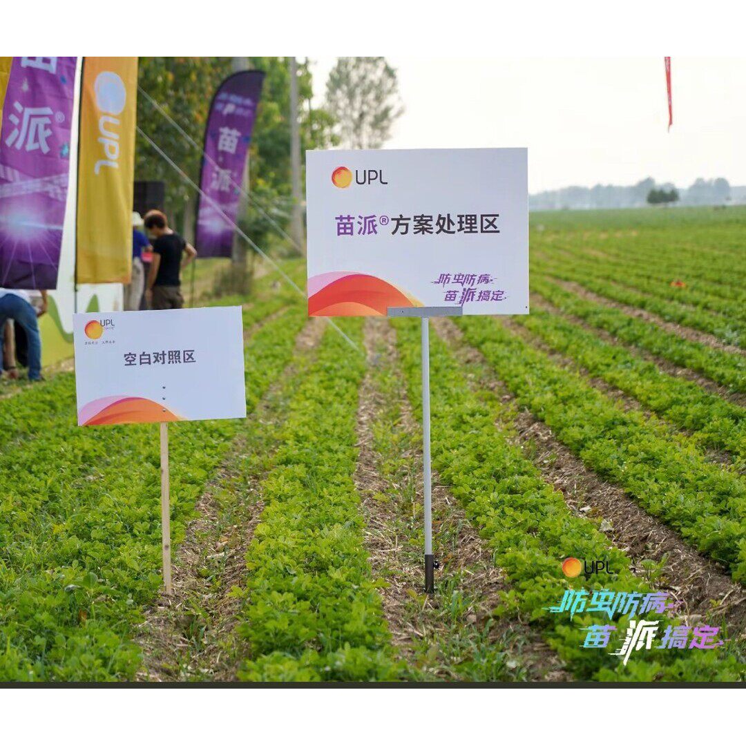 花生苗派拌种菌剂拌60-65斤