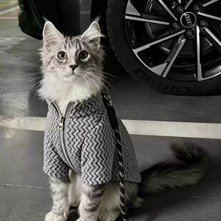 猫咪衣服公猫帅气蓝猫暹罗猫缅因猫小猫银渐层豹猫橘猫秋冬装保暖