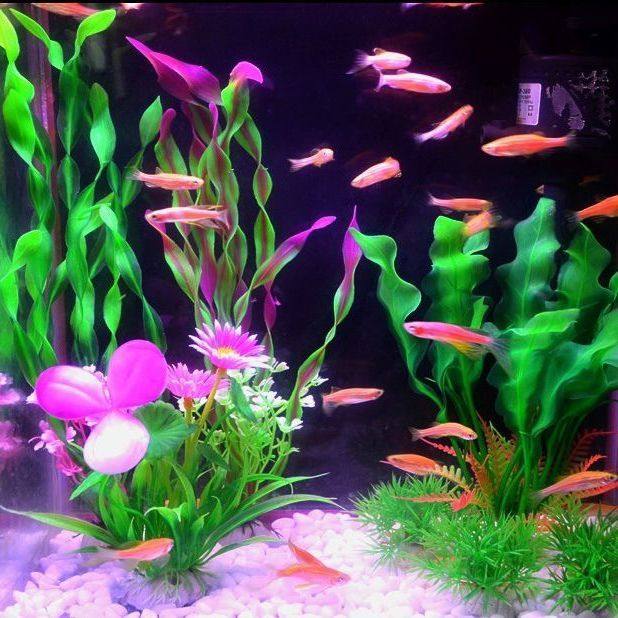 仿真水草水族造景鱼缸水族箱装饰套餐假水草装饰塑料高款大水草绿