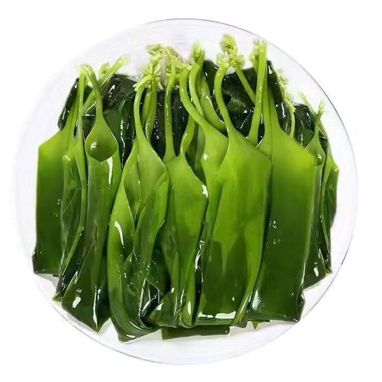 海带苗火锅店同款海带嫩苗海带芽非裙带菜嫩芽涮火锅凉拌煲汤串串