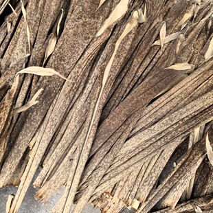 25年新货笋壳楠竹笋壳黄粑壳家用野生毛竹壳端午节粽子豹纹壳粽叶