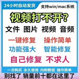 视频损坏 视频打不开修复软件文件图片音频损坏恢复工具功能强大