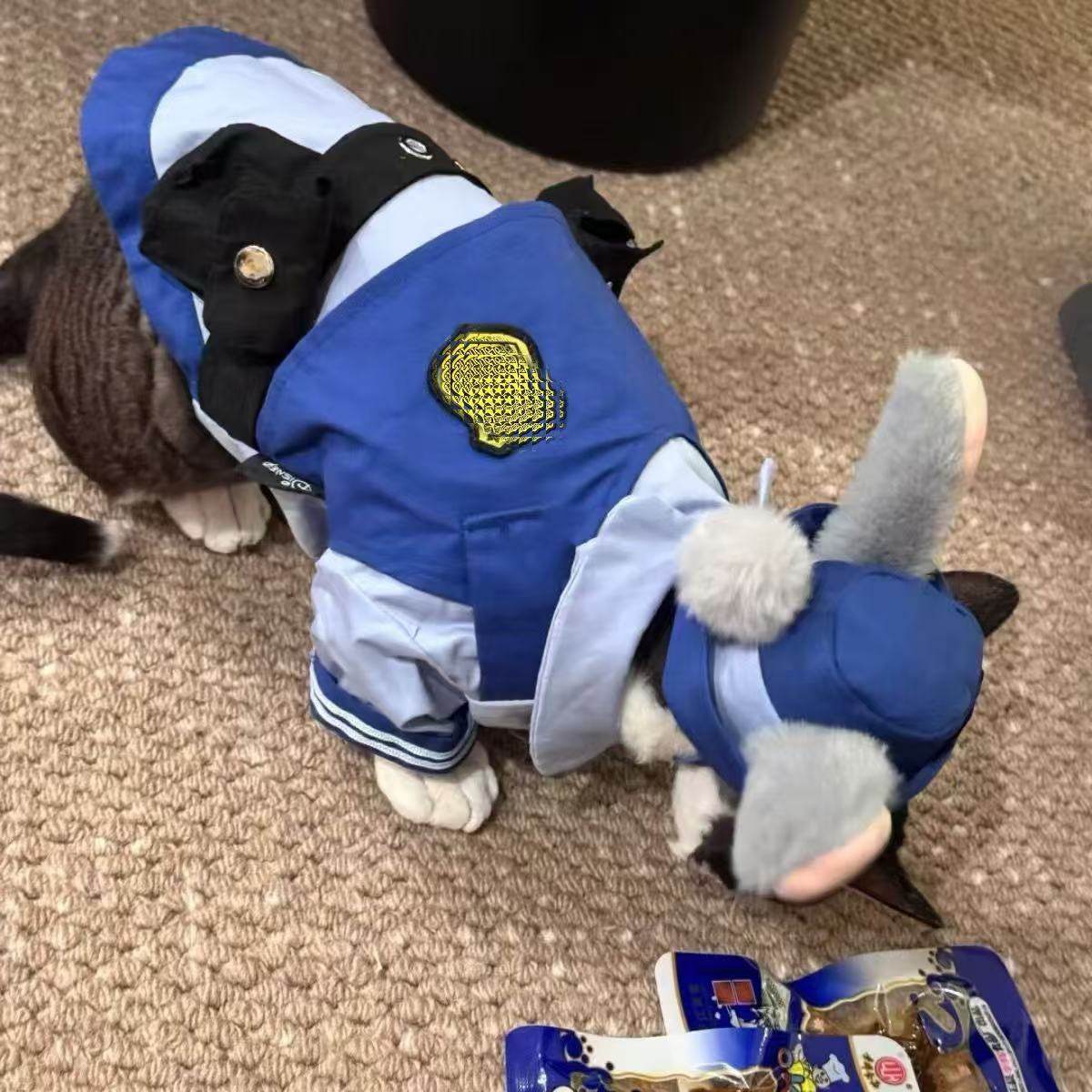 尼克狐狗狗衣服疯狂动物城兔子警官cos卡通长耳朵兔子帽子尼克朱