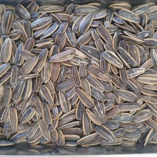 瓜子五香味奶油五香焦糖红枣核桃味葵瓜籽瓜子袋装 休闲零食小吃