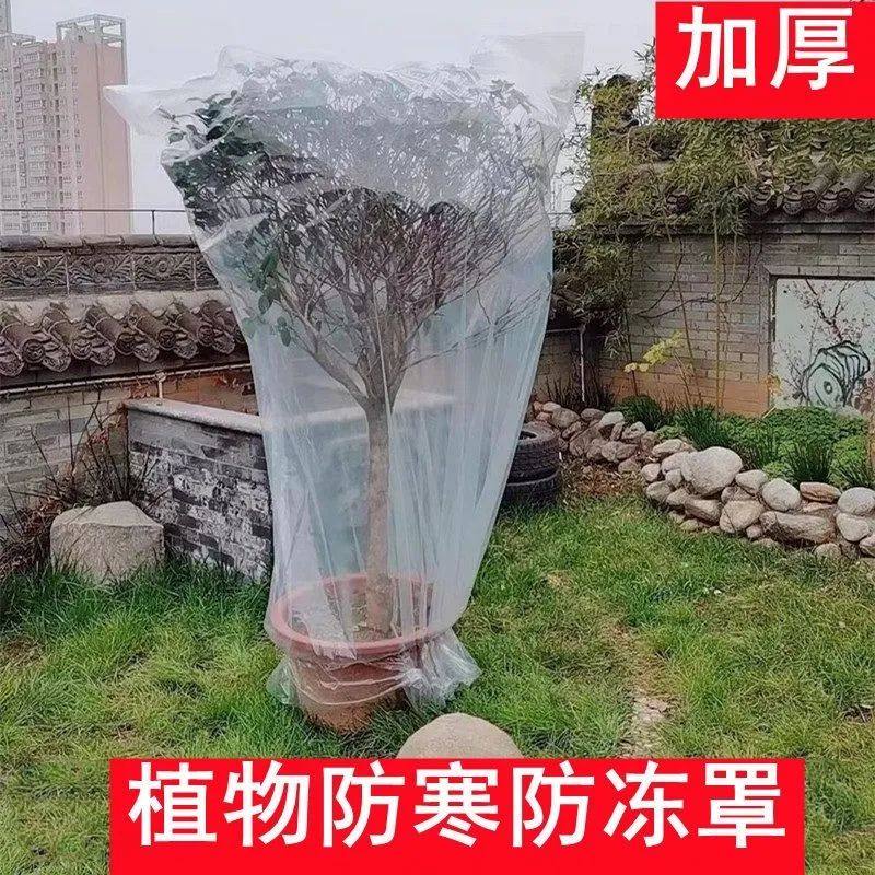 冬季植物保温罩绿植花卉果树防寒防霜盆栽景防冻罩塑料膜透明加厚