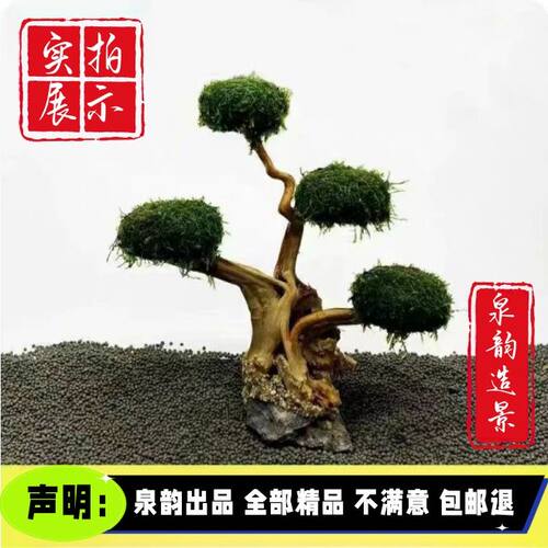 鱼缸造景仿真懒人成品入缸成景蘑菇头绑好水草迷你小莫斯树巴西树