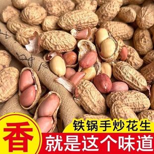 新炒原味花生农家新货柴火炒花生铁锅带壳2025年原味炒熟坚果零食