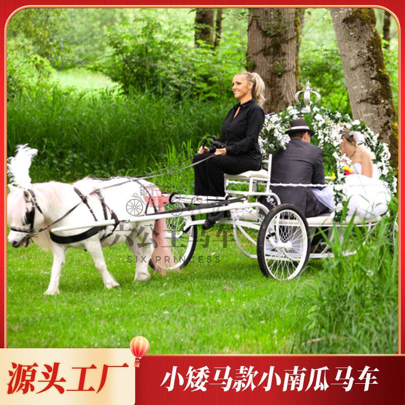 欧式南瓜马车小矮马拉车灰姑娘公主马车婚礼婚纱摄影儿童小马车工
