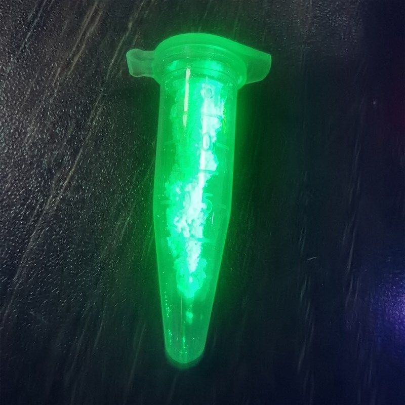 科研手电筒650 660 670 680 690 700 710 740 760 780 808nm3W12W