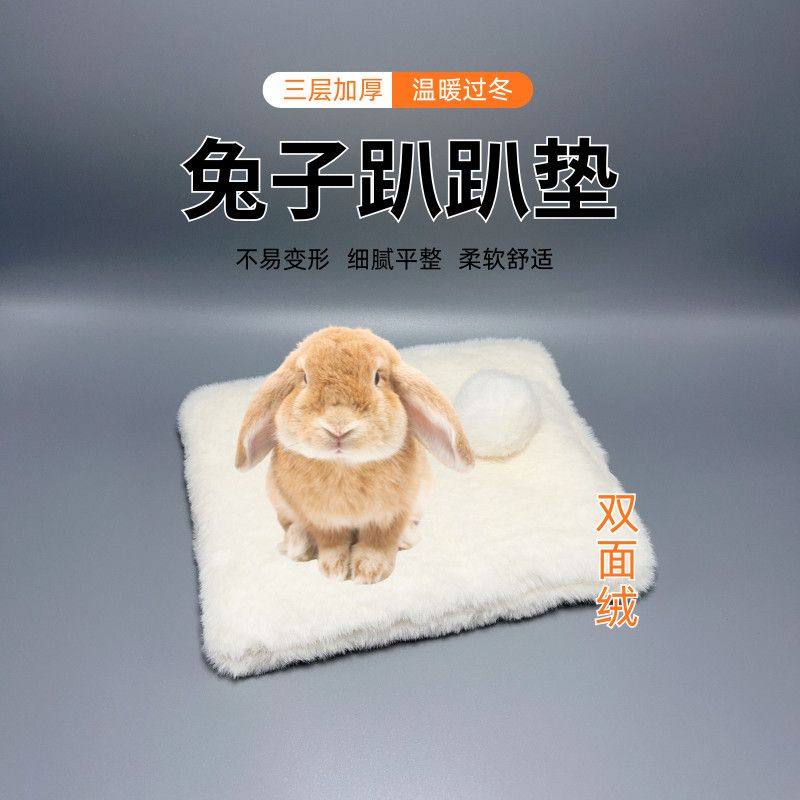 通用棉垫兔窝睡垫加厚保暖冬款厚毯子四季兔子趴趴垫仓鼠兔睡觉窝,宠物/宠物食品及用品,兔兔脚垫,淘宝优惠券,粉丝福利购,淘宝优惠卷