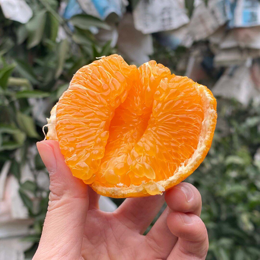 京东快递四川春见耙耙柑4.5-8斤手剥橘子粑粑柑丑橘新鲜水果
