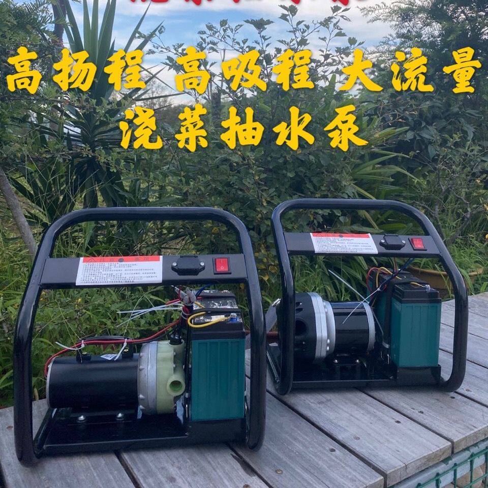 充电抽水泵电动浇菜水泵大功率户外农用灌溉抽水机大流量抽水泵