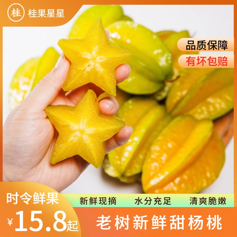 新鲜现摘广西老树甜杨桃 当季新鲜孕妈水果一口爆汁现摘现发