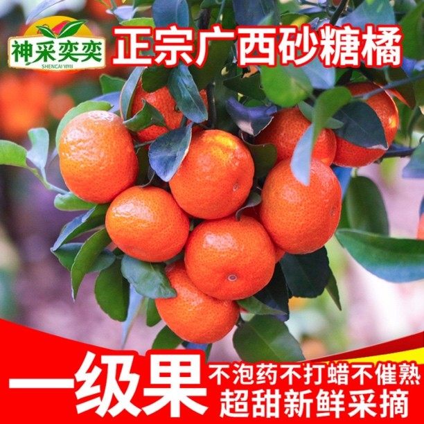 【】正宗广西砂糖橘新鲜水果沙糖桔5斤小橘子超甜桔子当季,水产肉类/新鲜蔬果/熟食,桔子,淘宝优惠券,粉丝福利购,淘宝优惠卷